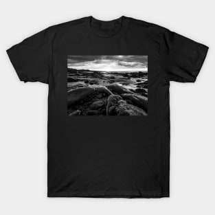 The beach T-Shirt